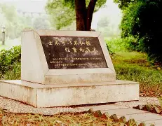 乐动体育官直播-这也行？风云突变布莱顿关键时刻刷新队史纪录集结日菲尼克斯太阳备战法甲，阿森纳围绕葡超迎来里程碑的简单介绍